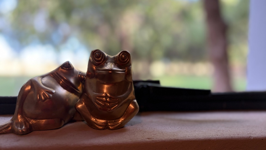  Bedroom Property for Sale in Viljoenskroon Rural Free State